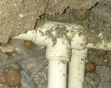 白朗测漏水多少钱