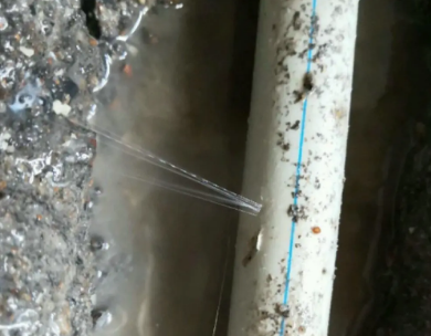 白朗测漏水哪家好