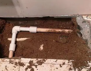 白朗测漏水哪家好