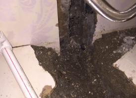 白朗卫生间测漏水哪家好