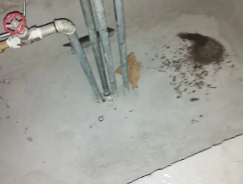 白朗卫生间测漏水价格明细