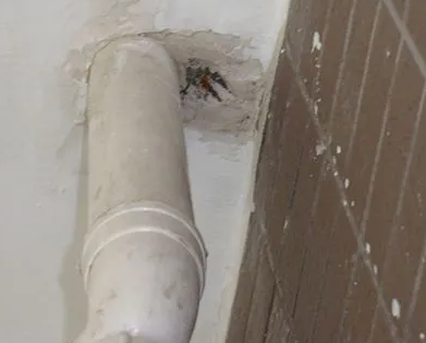 白朗漏水检测哪家好